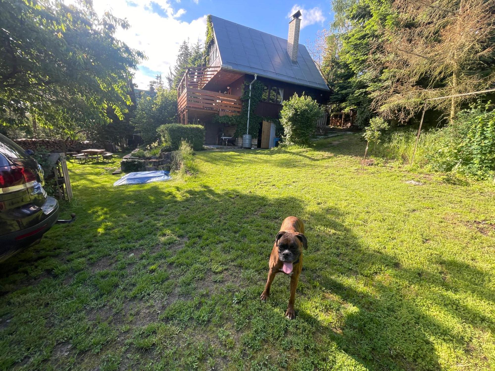 Holiday home Dagmar